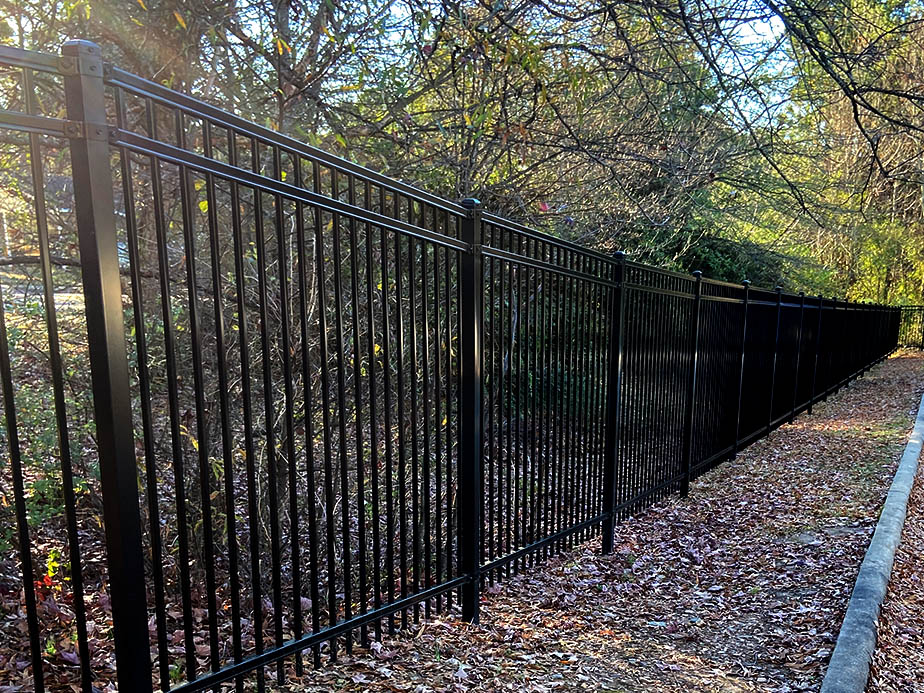 A long black metal fence runs alongside a wooded area with trees and fallen leaves on the ground, next to a concrete curb. Sunlight filters through the branches, casting shadows on the fence.
