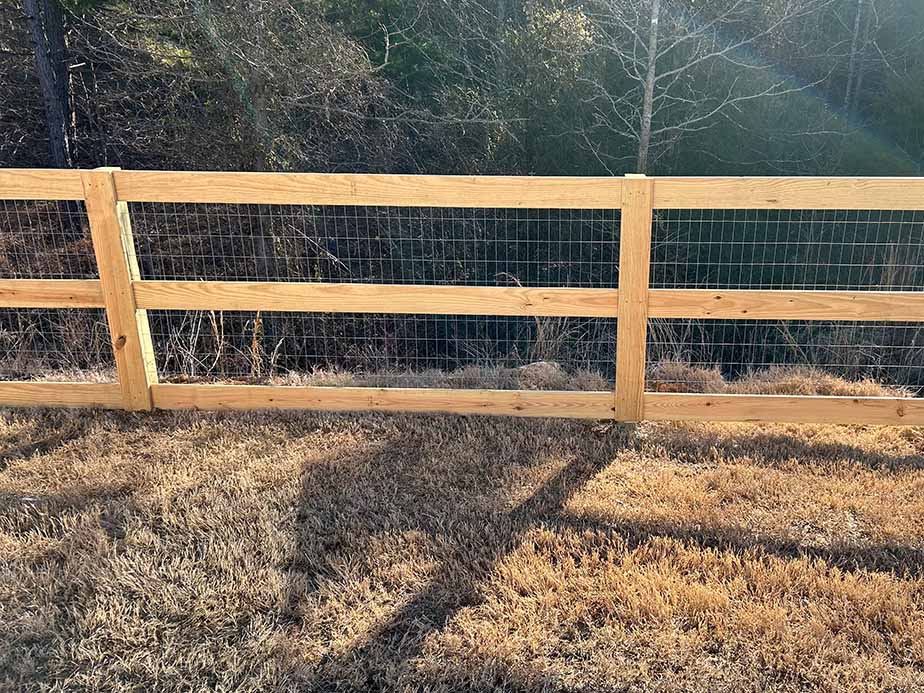 A wooden and wire fence runs along the edge of a grassy area, with sunlight casting shadows on the dry, brown grass. Trees and brush are visible in the background.