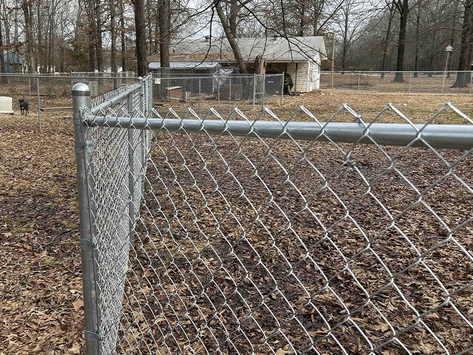 A silver chain-link fence runs diagonally through a yard covered with dry leaves, with trees and a small white shed visible in the background.
