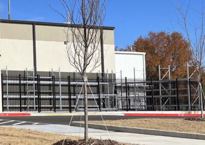 A young leafless tree is staked with ropes in front of a black metal fence and a beige building. The parking area has a painted red curb and brown grass, with autumn trees in the background under a clear blue sky.