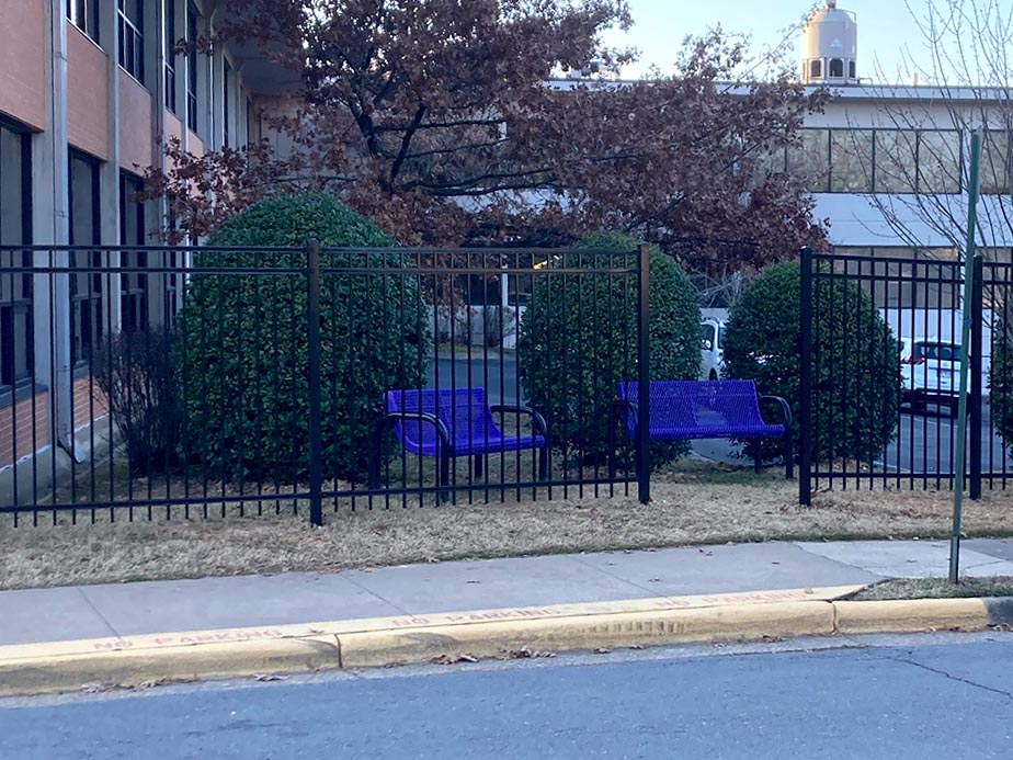 Two purple benches are positioned behind a black metal fence, facing bushes shaped into large green domes near a building. The benches cannot be accessed due to the fence in front of them.