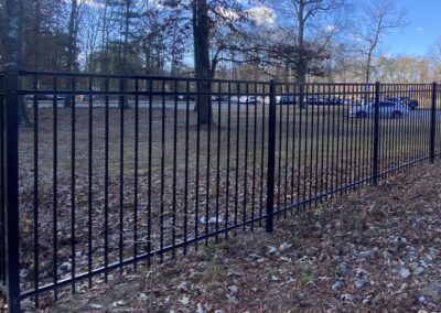 A black metal fence runs along a leaf-covered ground with bare trees in the background. Several parked cars are visible beyond the fence on a clear day.
