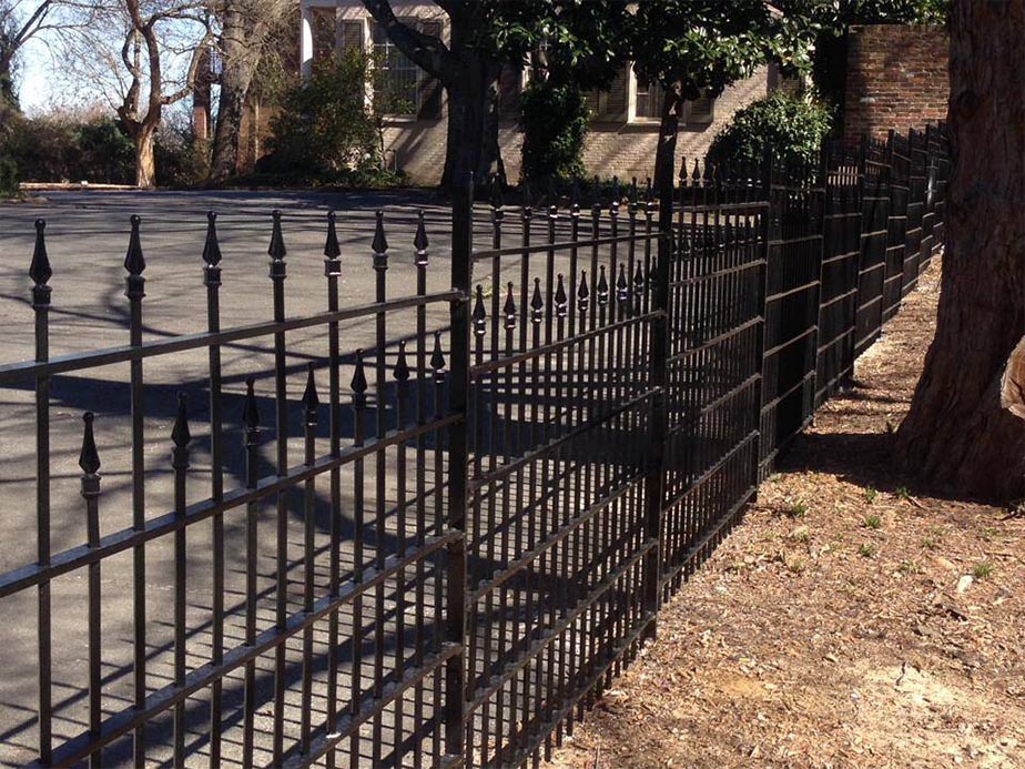A black metal fence casts intricate shadows on the ground next to a paved area and a large tree, with a building and bare trees visible in the background.