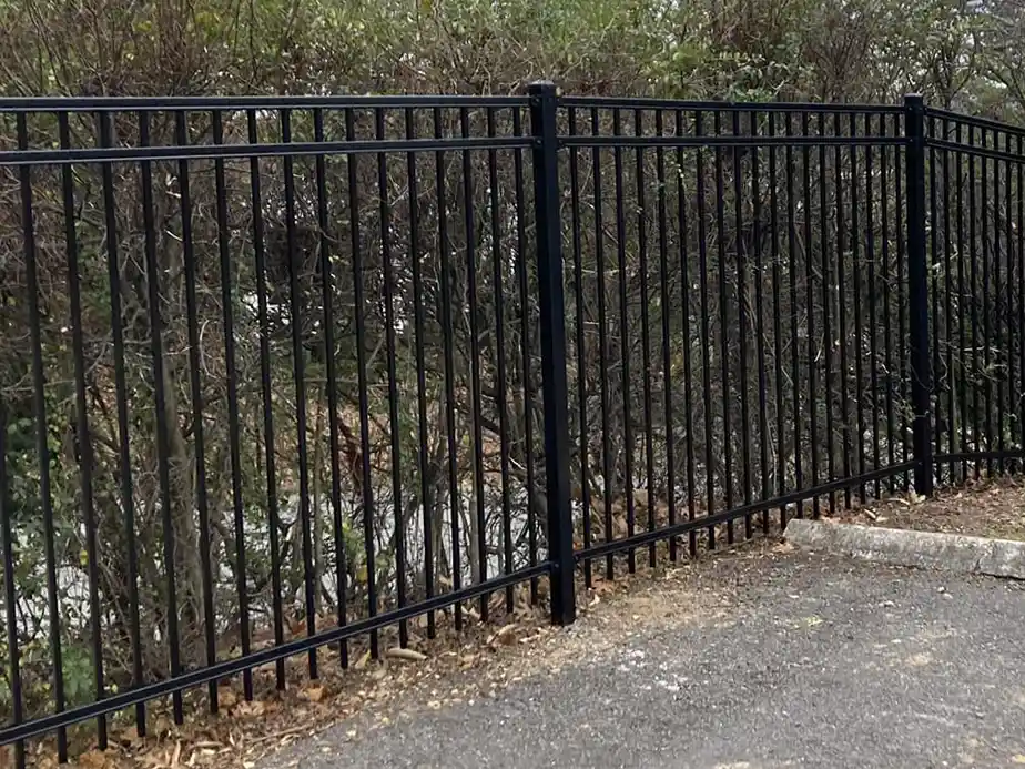 A metal fence with vertical black bars stands on the edge of a paved area, next to some shrubs and trees with green foliage in the background.