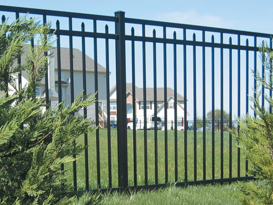 Black metal picket fence with vertical bars and pointed tips, enclosing a grassy yard. Evergreen shrubs are in the foreground, and houses are visible in the background under a blue sky.