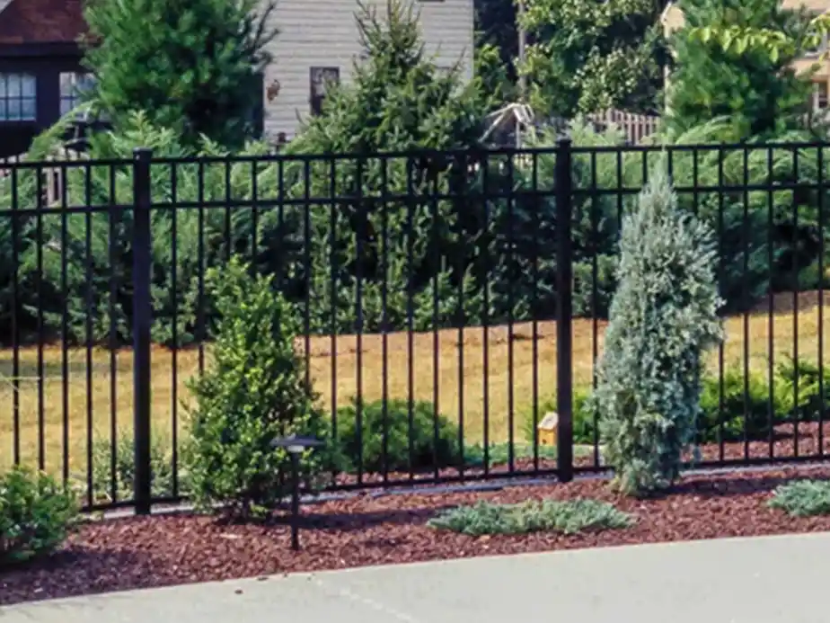 A black metal fence stands behind neatly trimmed shrubs and mulch, with tall evergreen trees and a house visible in the background.