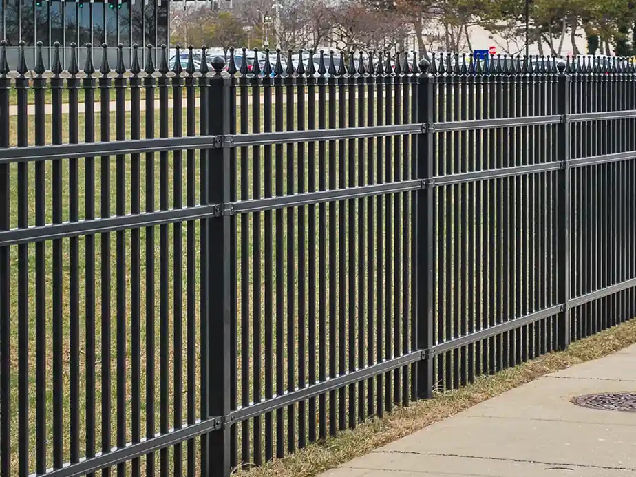 A black metal fence with vertical bars and pointed tips runs alongside a grassy area and a sidewalk, with cars and trees visible in the background.