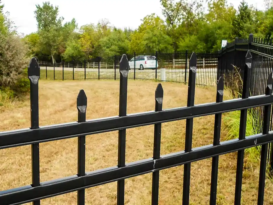 A close view of a black metal fence with pointed tops surrounds a dry, grassy area; trees and a white vehicle are visible in the background.