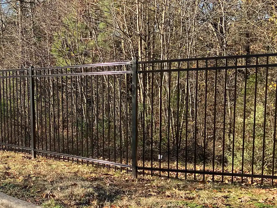A black metal fence with vertical bars and a gate stands on a grassy area, with leafless trees and some greenery visible in the background.