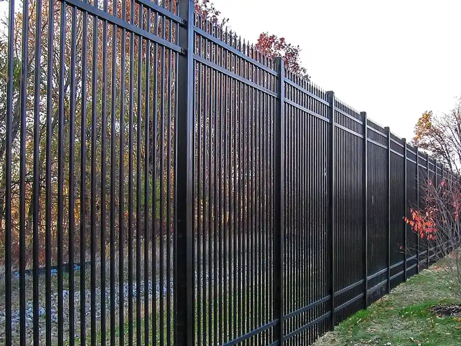 A tall black metal fence with vertical bars runs alongside a grassy area, with trees and autumn foliage visible in the background.
