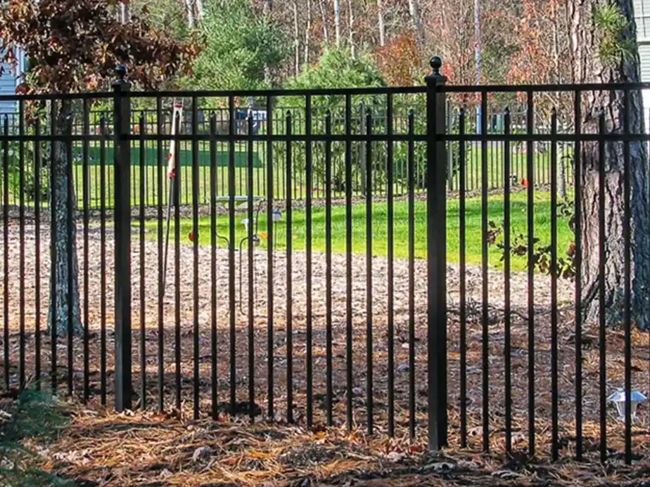A black metal fence with vertical bars stands on a ground covered in pine needles, with green grass, trees, and shrubs visible in the background under sunlight.