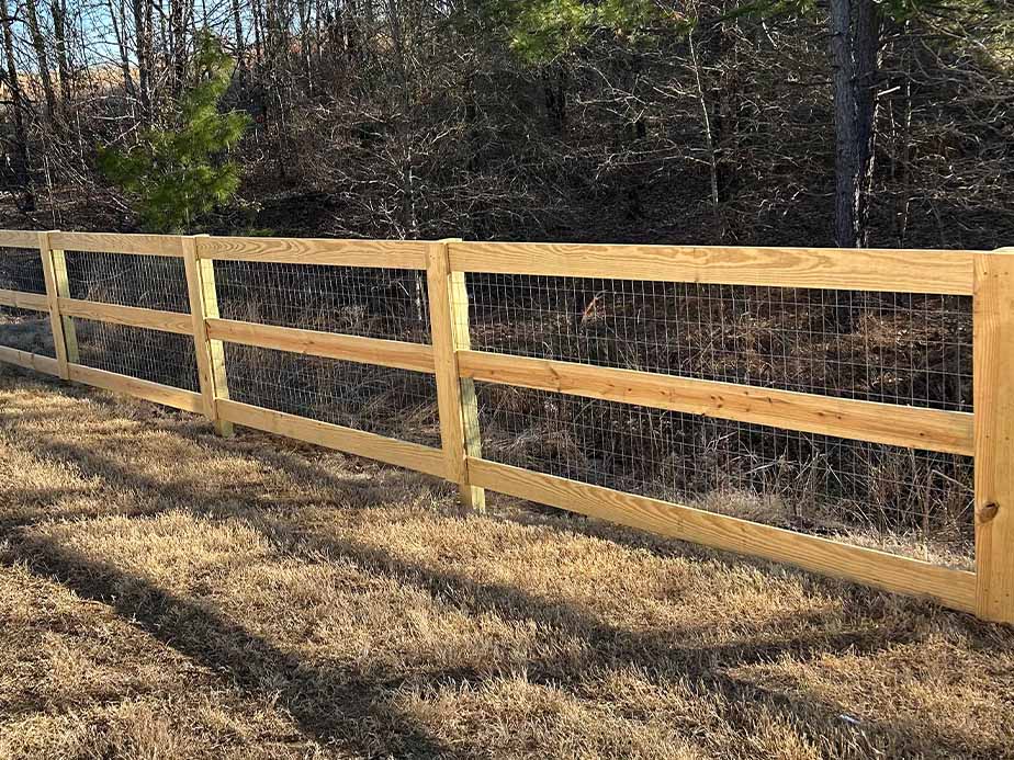 A wooden and wire mesh fence runs along the edge of a grassy yard, with a wooded area and trees in the background. Sunlight casts shadows on the ground.