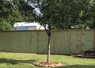 A small tree with a circular stone border stands in a grassy yard in front of a tall wooden fence, with part of a white building visible in the background.