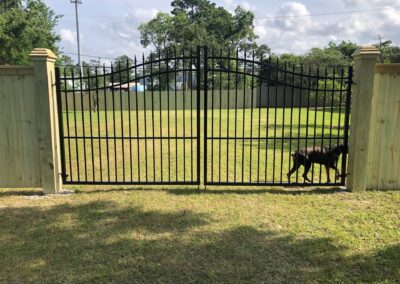 A black metal gate is set between wooden fences, enclosing a grassy yard. A large black dog is walking along the fence inside the yard on a sunny day. Trees and a blue sky are visible in the background.