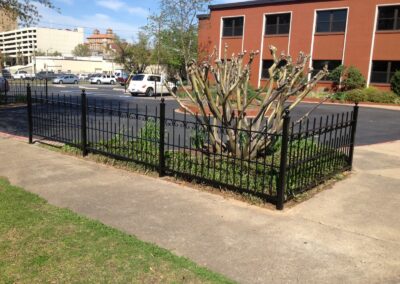 A small, square patch of greenery with a trimmed, leafless shrub is enclosed by a black metal fence. The area is adjacent to a sidewalk and parking lot, with a red brick building in the background.