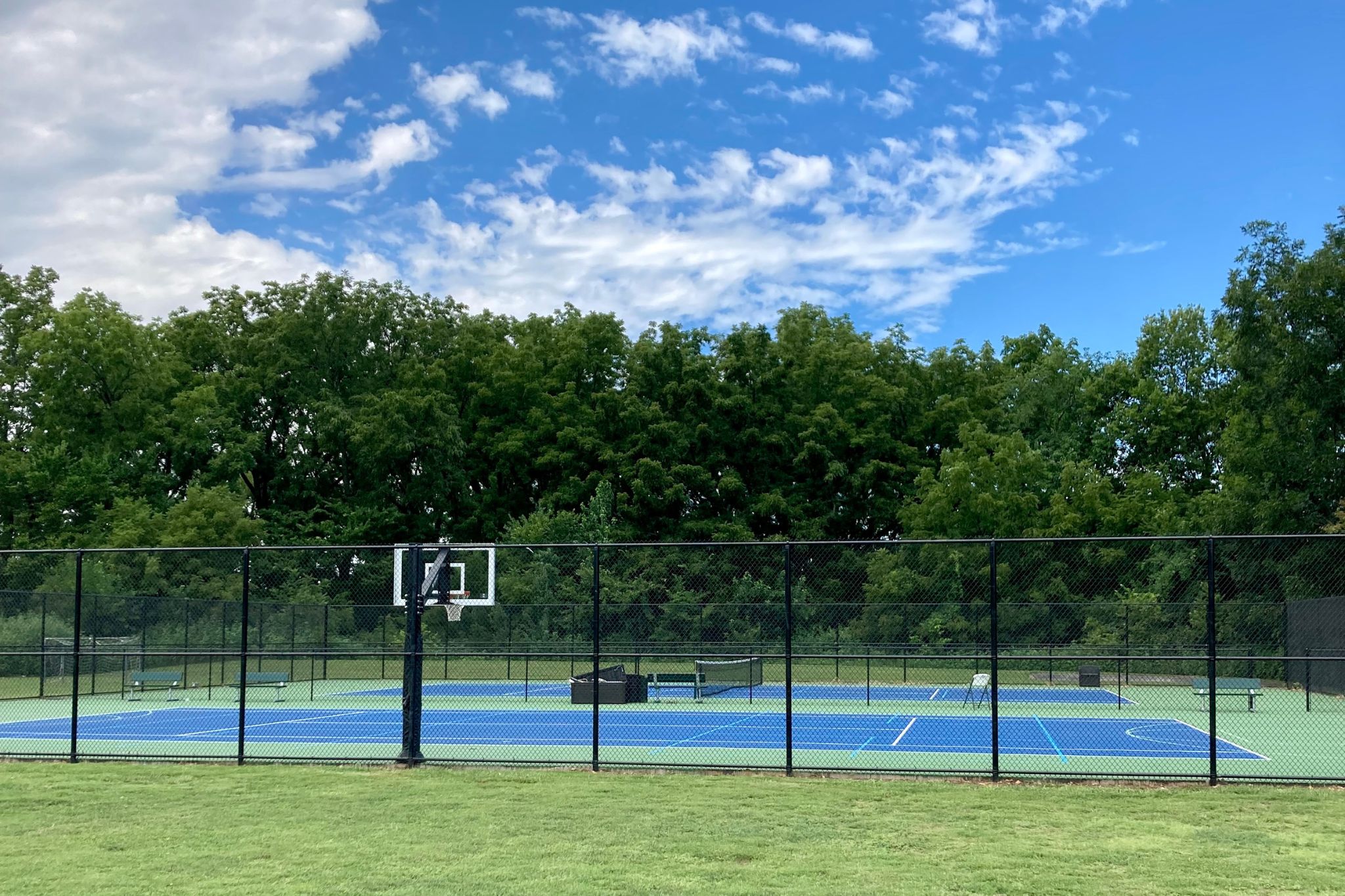 A blue outdoor basketball court surrounded by a black fence sits on green grass with trees and a partly cloudy sky in the background.