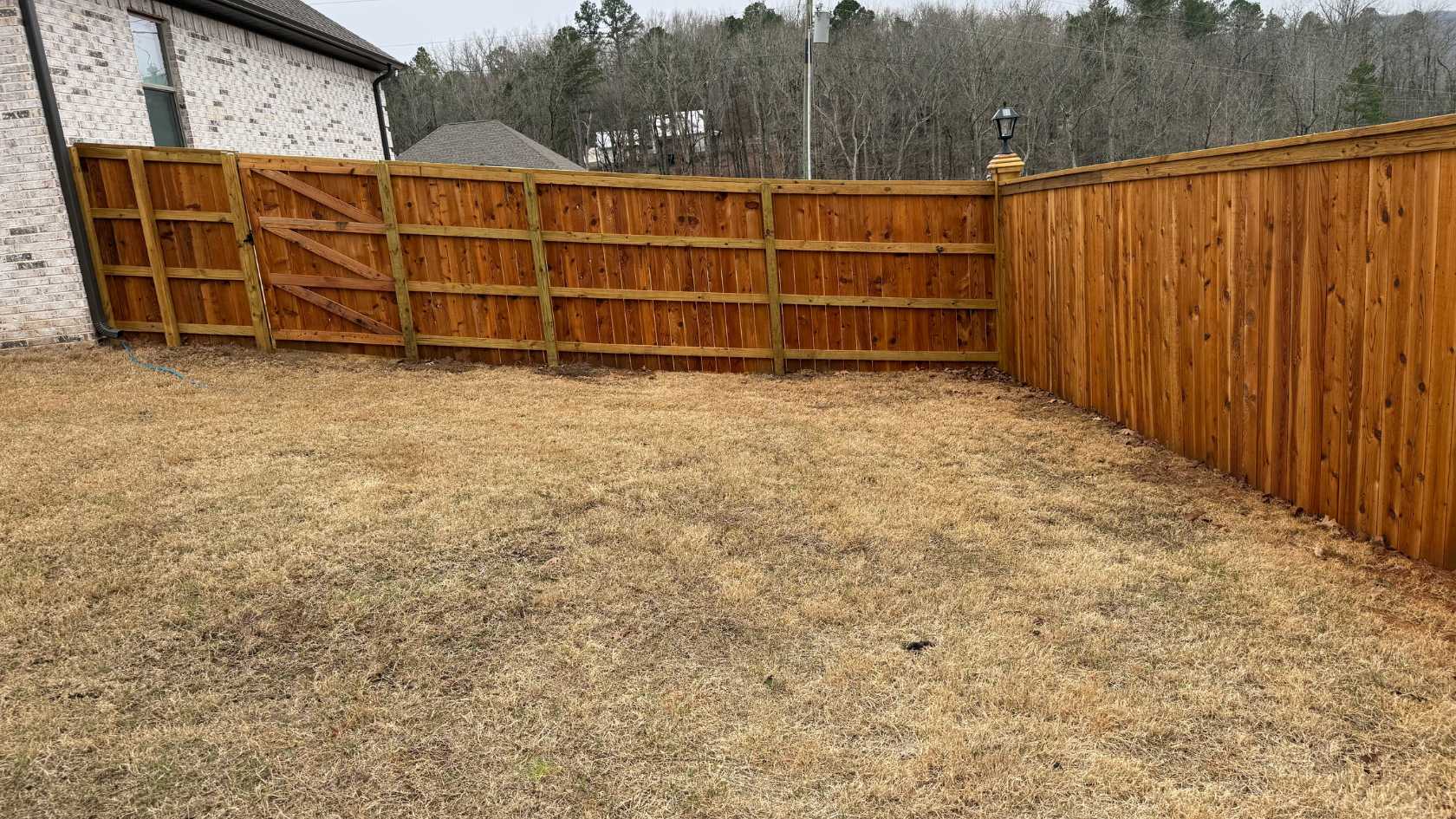 A backyard with brown dry grass, bordered by a tall wooden fence. A brick house is partially visible on the left, and trees can be seen beyond the fence in the background.