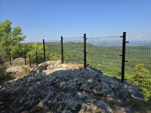 A rocky overlook with a metal fence offers a view of a vast green forest under a clear blue sky, with distant hills on the horizon.