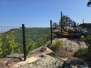 A metal fence runs along the edge of a rocky cliff, overlooking a dense green forest under a clear blue sky.