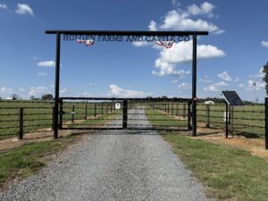 A gravel road leads to a black gate with the sign Holden Farms and Cattle Co at the entrance of a fenced pasture under a blue sky with clouds. A solar panel is visible on the right.